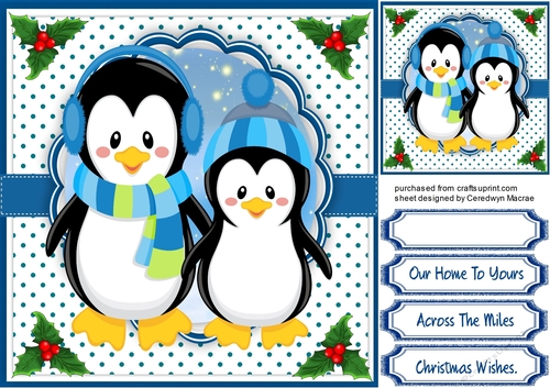 Cool penguins in there Blue Woollys 