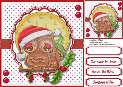 Have a Hooting Christmas 