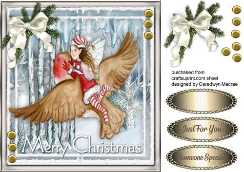Beautiful Winter Fairy on a Robin 