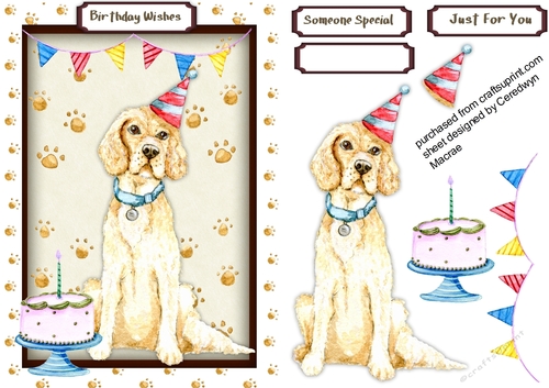 Party Pet 1
