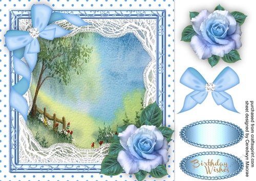 Beautiful  Meadow in vintage lace frame 