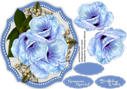 Beautiful Blue Flower and Babys Breath