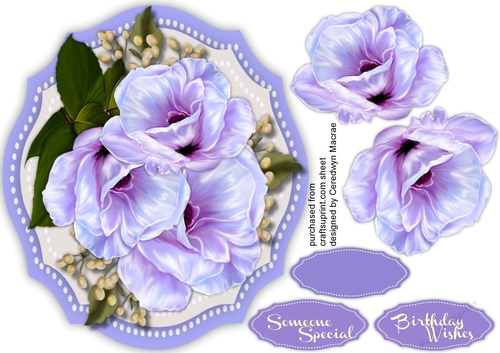 Beautiful lilac Flower and Babys Breath