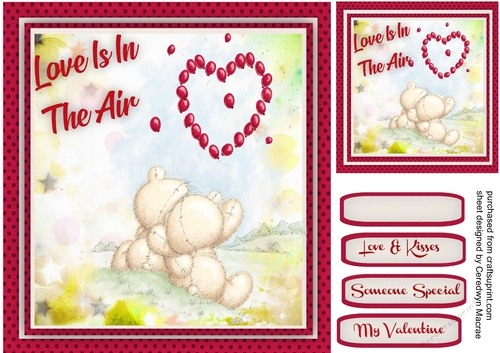 Love Is In The Air, Valentine 