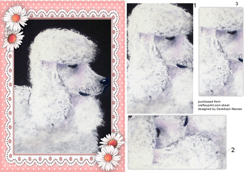 Beautiful Poodle in Pink polka Frame , Pyramid
