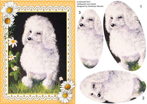 Beautiful Poodle in Pink polka Frame , Pyramid