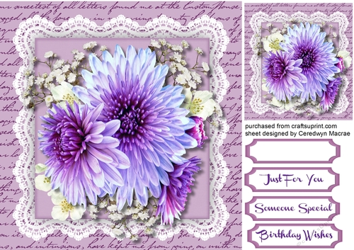Beautiful Lilac Chrysanthemums on  lace 