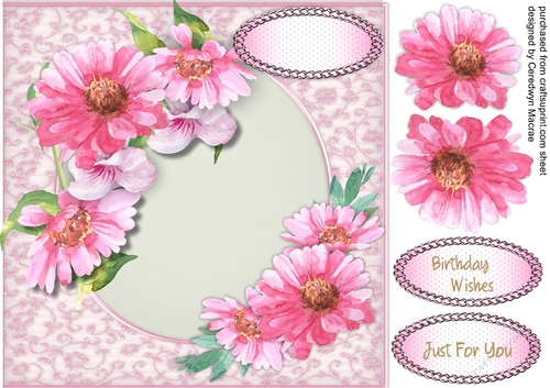 Beautiful Pink Sherbert Flowers 
