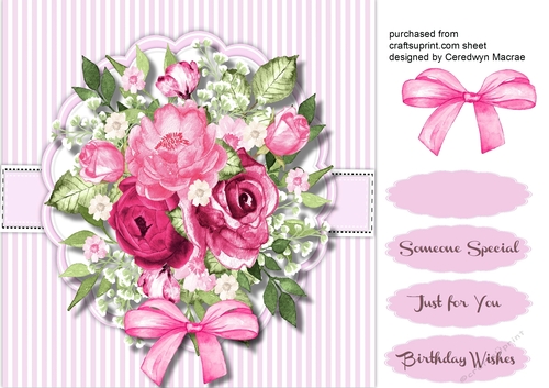 Hot Pink Roses with Bow