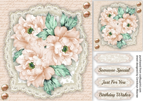Beautiful Cream Peace Roses 