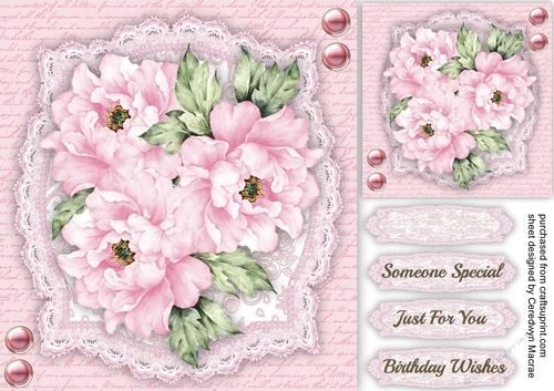 Beautiful Pink  Peace Roses 