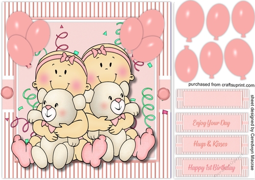 Twin Girls 1st Birthday