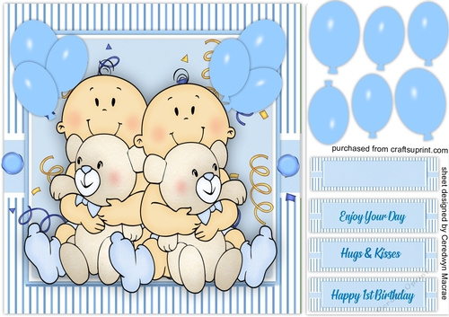 Twin Boys 1st Birthday