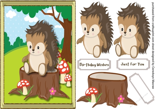 Cute Woodland Friends Hedgehog 