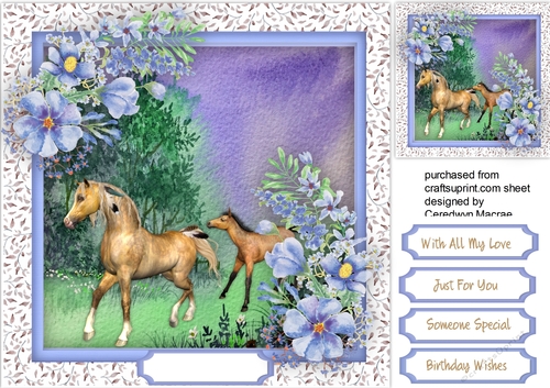 Beautiful Horses in the  Meadow 