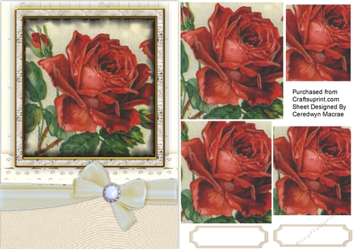 Beautiful Red  Roses on a Wood Mat 