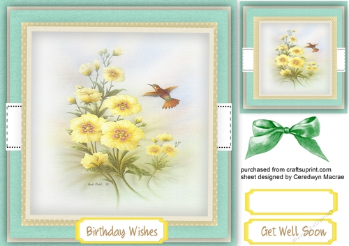 Beautiful Humming Birds and Yellow Flowers 