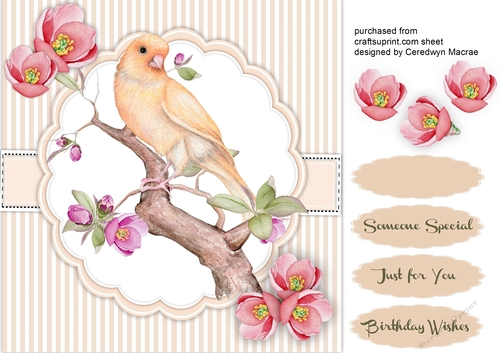 Beautiful Bird on a Branch with Blossom 