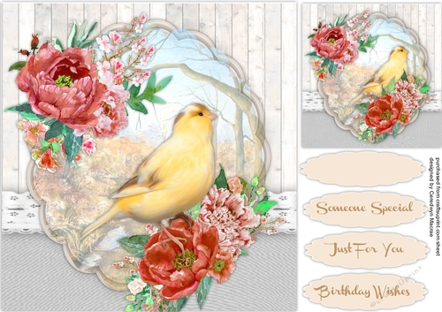 Beautiful Canary with Russet Roses