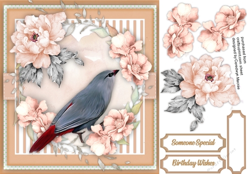 Beautiful Lvender Waxtail