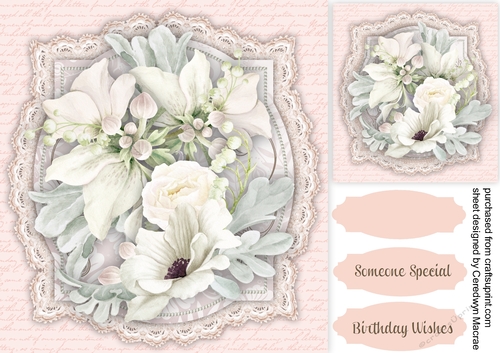 Beautiful Vintage Anemones 