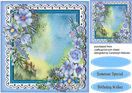 Beaqutiful Blue Meadow Flowers 