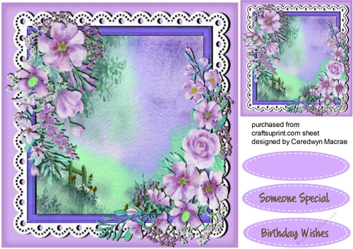 Beautiful Lilac Meadow Flowers 
