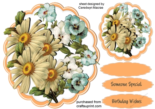 Beautiful Pansys and Daisys 