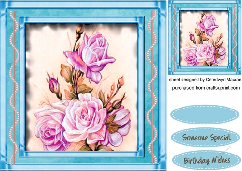 Beautiful Roses on Aqua Frame 