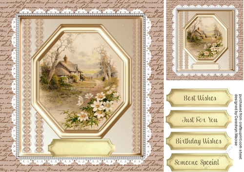 Beautiful Country Cottage and Daisys 