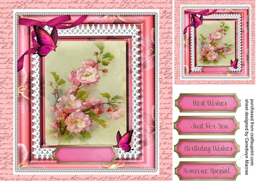 Lovely Blossom and Butterflys 