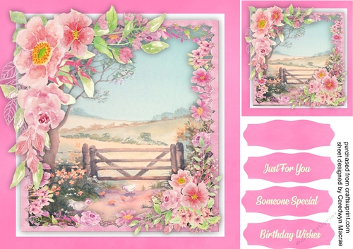 Beautiful Peace in the meadow 1