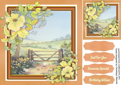 Beautiful Peace in the meadow  3