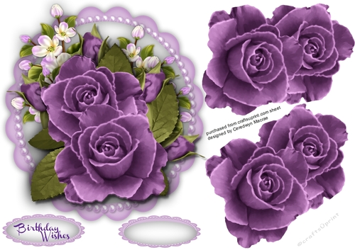 Purple Roses and Blossom 