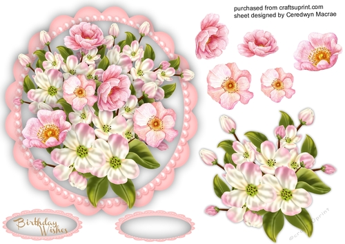 Beautiful Brier Roses and Blossom 