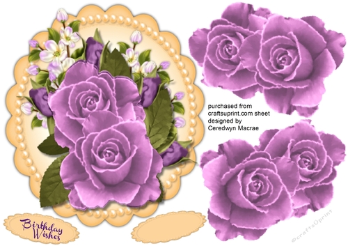 Beautiful Lilac  Roses on Yellow Mat