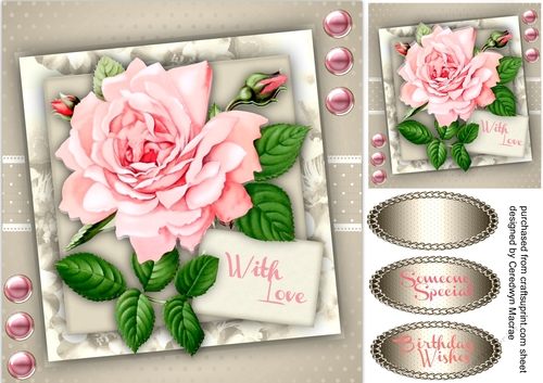 With Love and Special Wishes 1