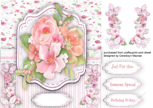 Roses and Butterflys 