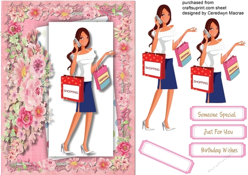 Busy Shopping Girl 