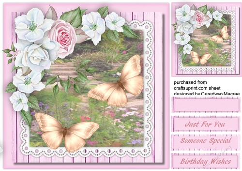 Apple Blossom and Butterflys 
