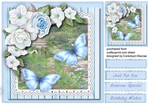 Apple Blossom and Blue Butterflys 