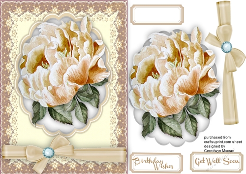 Cream Peony  Rose on a Scalloped Mat 