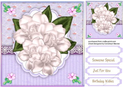 Beautiful White Magnolias on a lace Boarder