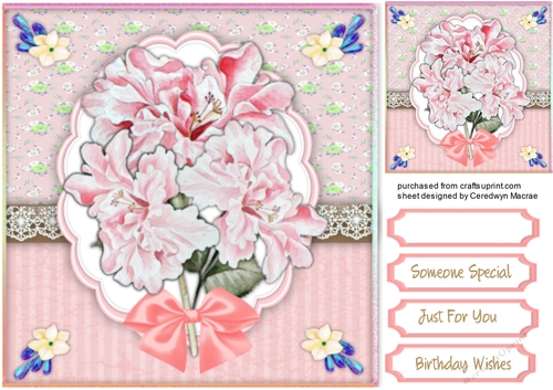 Beautiful Roseson a lace Boarder