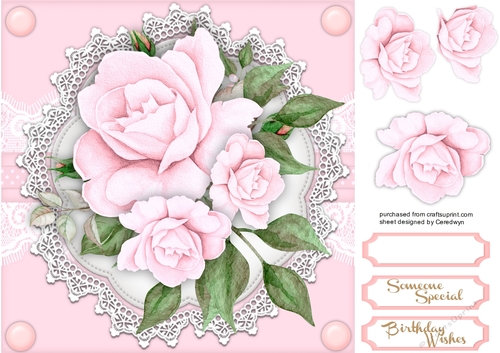 Beautiful Pink Roses on Vintage Lace 1