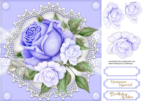 Deep Lilac Roses  on Vintage Lace  2