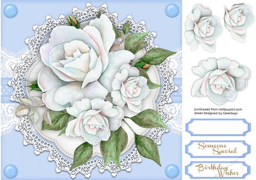 Pale Blue Roses  on Vintage Lace  4