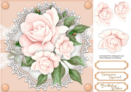 Pale Peach  Roses  on Vintage Lace  5