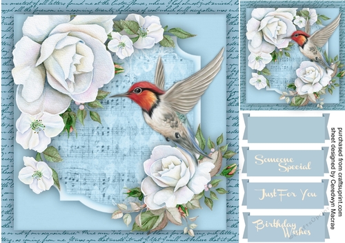 Bee Humming Bird and White Roses 