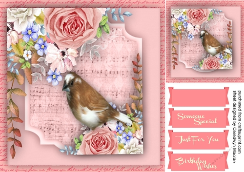 Finch in the Blossom